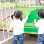 １歳児の双子を公園で遊ばせる時に注意する事！