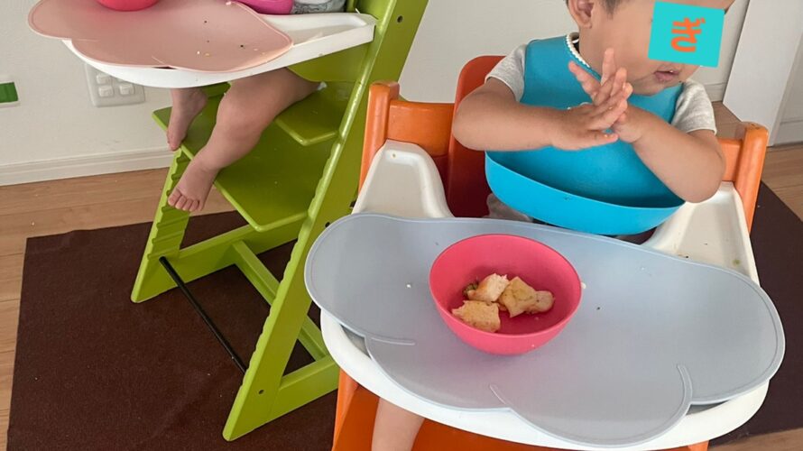 1歳6ヵ月のぎーちゃんとドンさんができるようになったこと 双子のぎーちゃんドンさん子育てブログ